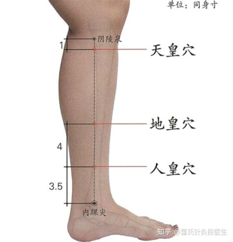 下三皇穴位|地皇穴 